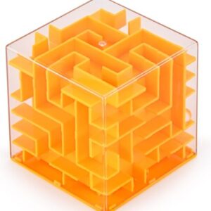 Maze box