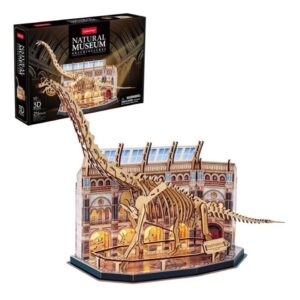 Museo Natural- Branquiosaurio