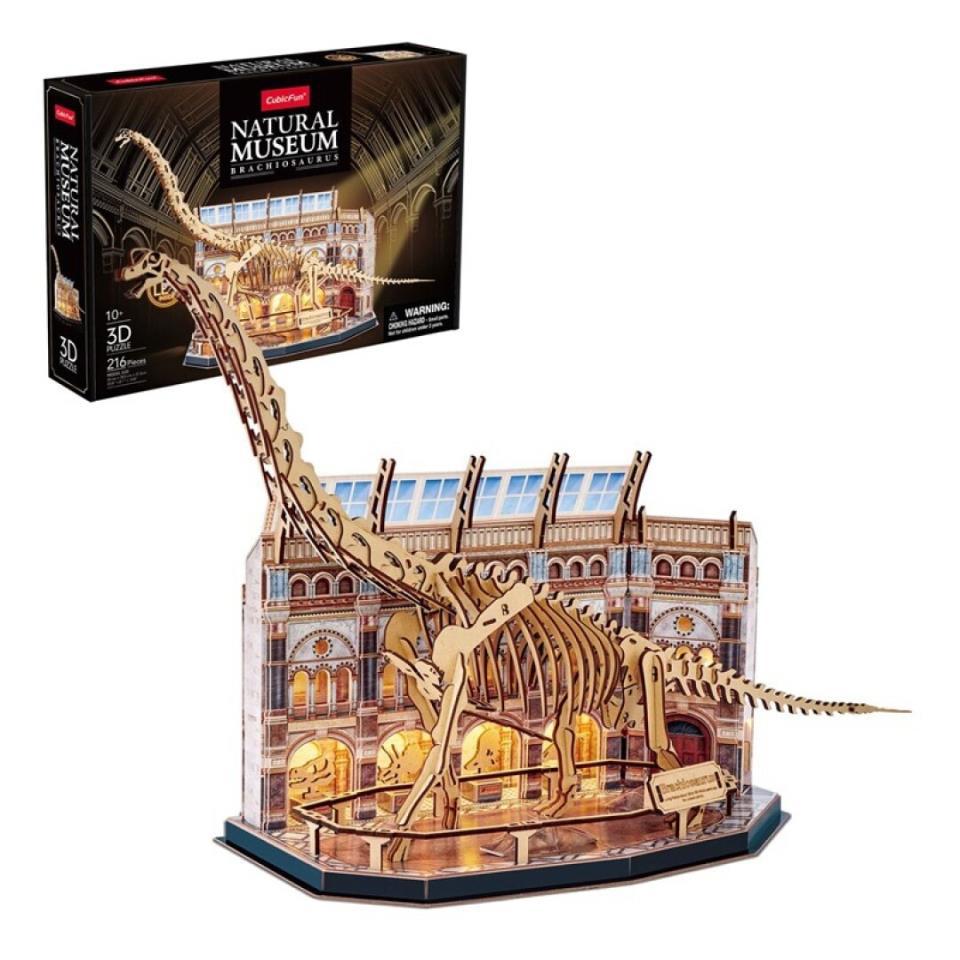 Museo Natural- Branquiosaurio