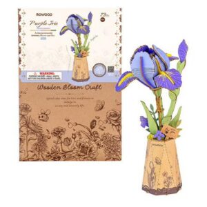 Iris germanica