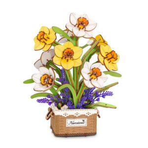 Narcissus