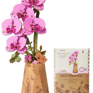 Orquidea mariposa purpura