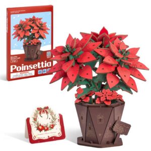 Poinsettia